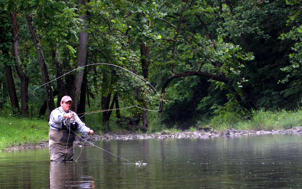 Mastering the Art of Fly Fishing: Tips for Beginners 